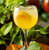 TROPICAL GIN
