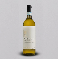 FEUDO DEI VENTI PINOT GRIGIO - ITA