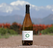 Alta-Yarí Chardonnay