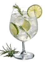 Gin Tônica