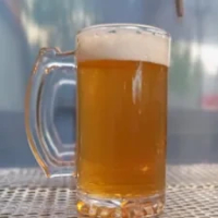AMERICAN IPA