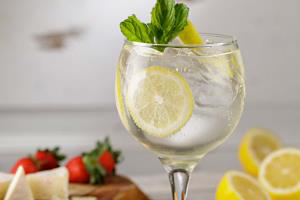 Gin Tonica