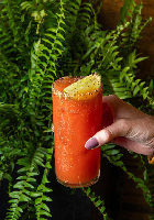 Suco de Tomate Temperado