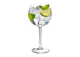 Gin & Tonic