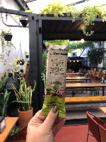 PICOLE DE CAMBUCI COM CREME DE AVELÃ