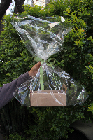 Cesta M - Até 4 Itens