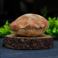 PÃO DA CASA ARTESANAL