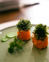 JYO DE SALMAO COM CRISPY DE COUVE