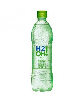 H20