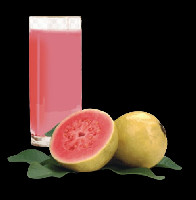 SUCO DE GOIABA JARRA