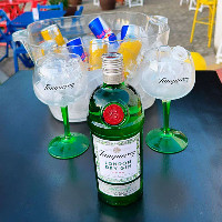 Combo Tanqueray