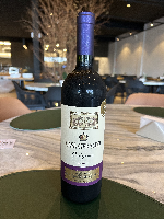 Vinho Tinto Merlot Origens Casa Geraldo