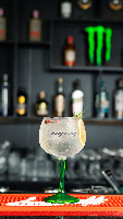 Gin  Tônica