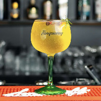 Gin Tropical PROMO 50%