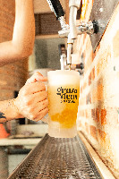 Chopp Caneca Congelada Pilsen 300mL