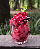 Sorvete de Amora (Blackberry Ice Cream/Helado de Mora)