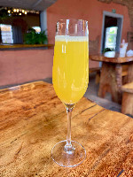 Mimosa