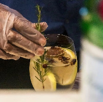 GIN TÔNICA IMPORTADA