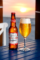 BUDWEISER