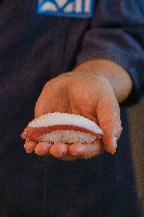 DUPLA TRADICIONAL DE POLVO