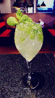 GIN & TÔNICA