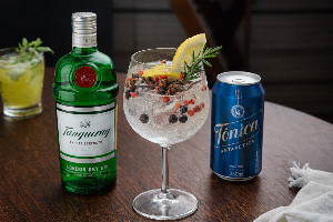 GIN TONICA IMPORTADA