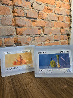 Café Filtrado do Mundo - Origem Colombia e México