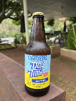 Cerveja Lagunitas Day Time