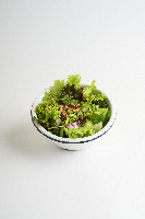 Salada Verde