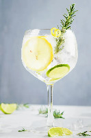 Gin tradicional