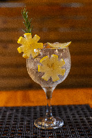 Gin Tônica