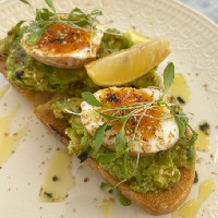 AVO TOAST ANA