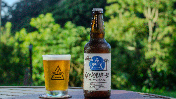 Gonçalve-se