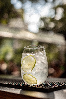 Gin Tônica