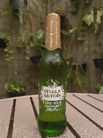 Stella pure gold
