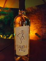 Stallone Chardonnay Puglia
