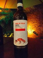 Coda di Volpe Sannio (D.O.C)
