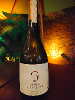 Miolo Giuseppe Chardonnay 2023