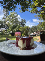 Cheesecake do dia