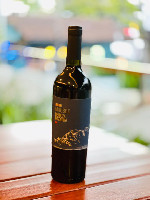Mendonza Malbec