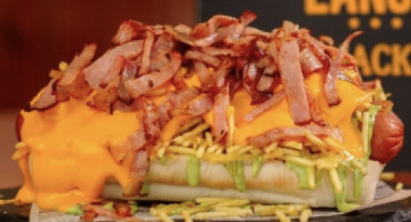 BDTDOG