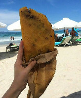 Empanada de Pabellón Margariteño (unidade)