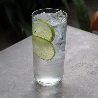 Gin Tônica