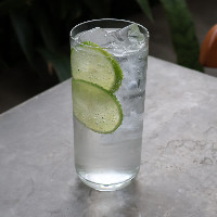Gin Tônica
