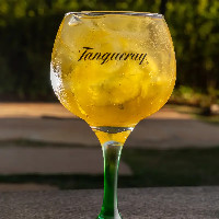 Tropical Gin