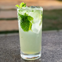 Mojito Monka