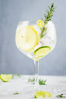 GIN TONICA