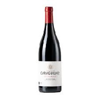 CHATEAU DE CARAGUILHES LES GOURGOULES