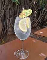 Gin tonica