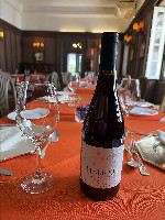 Libertas Pinot Noir Tinto